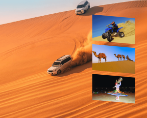 Desert Safari with Dinner and Shows